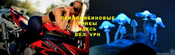 героин Галич
