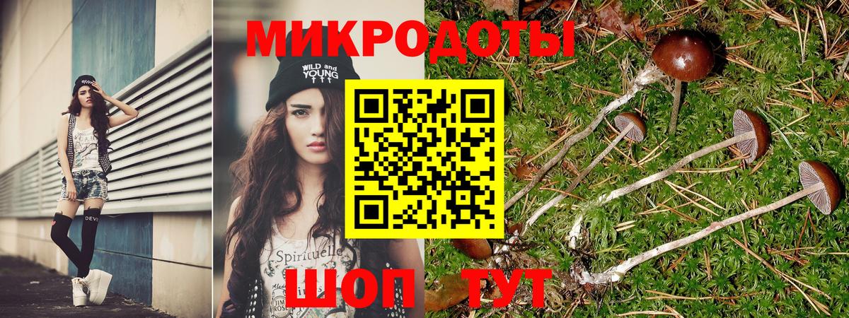 Псилоцибиновые грибы ЛСД Саров