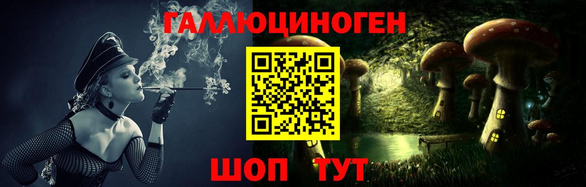 Галлюциногенные грибы Psilocybe  Вход с VPN  где купить наркоту  Саров 